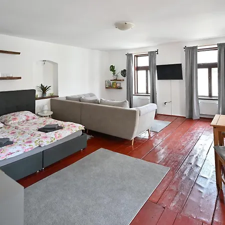 U Spinaru Apartment