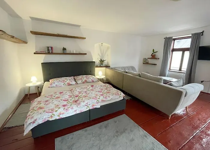 U Spinaru Appartement Třešť