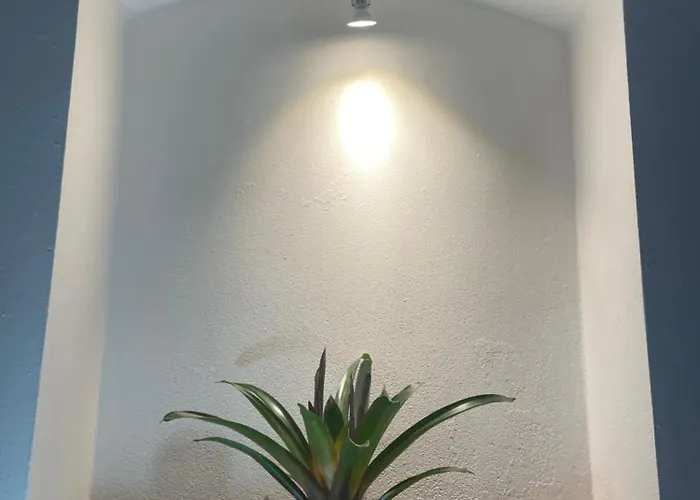Apartament U Spinaru Třešť