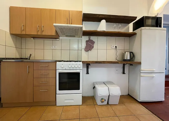 U Spinaru Apartament