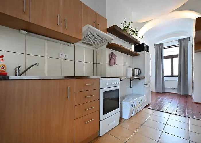 U Spinaru Apartament *