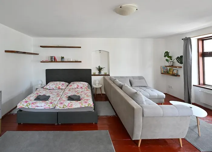 Apartament U Spinaru *