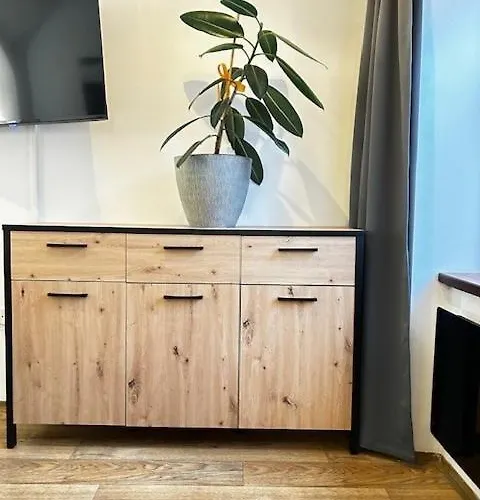 Appartement U Spinaru Třešť